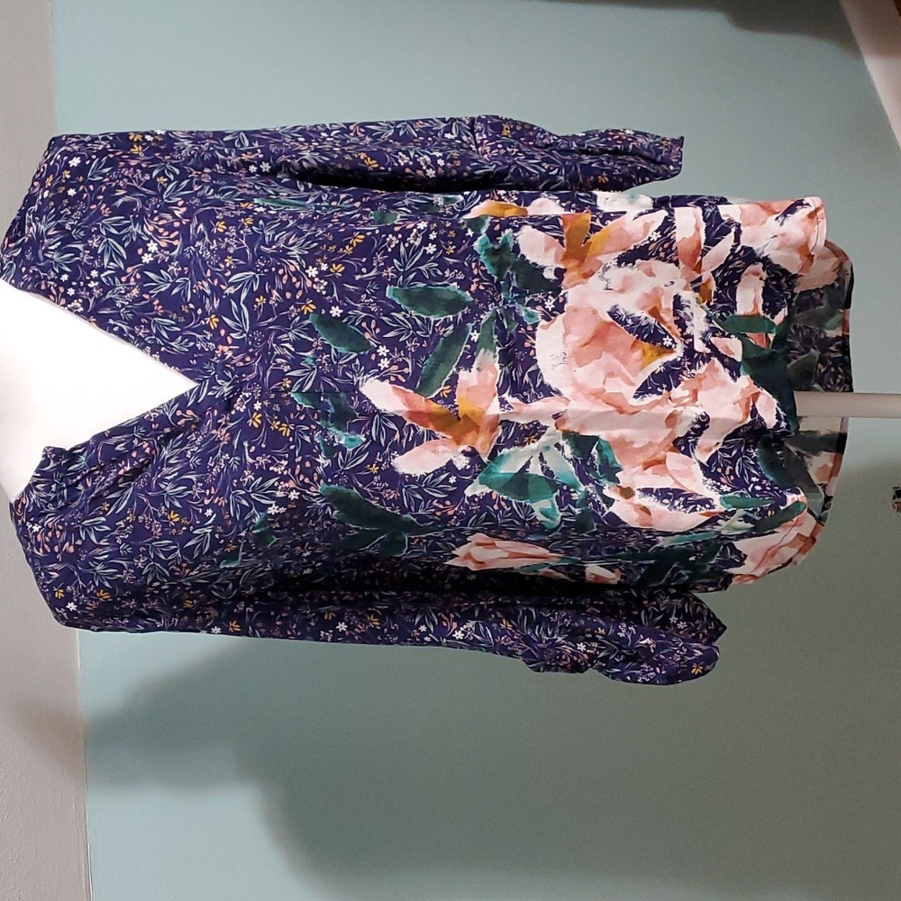 Daniel Rainn blouse